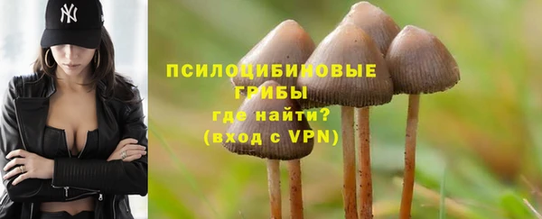 гидра Баксан
